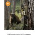 Campark H80 20MP 1296P Wifi Trail Camera with Night Vision Motion Activated for Wildlife