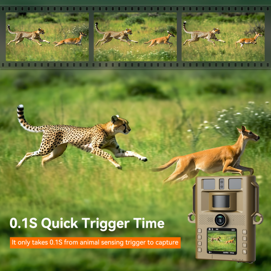 Campark TC21 4K 46MP Trail Camera 950NM Non-Glow Ultra-Thin WiFi Bluetooth Solar Power Game Camera With Covert Shell Campark TC21 4K 46MP Trail Camera 950NM Non-Glow Ultra-Thin WiFi Bluetooth Solar Power Game Camera With Covert Shell