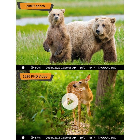 Campark H80 20MP 1296P Wifi Trail Camera with Night Vision Motion Activated for Wildlife Campark H80 20MP 1296P Wifi Trail Camera with Night Vision Motion Activated for Wildlife