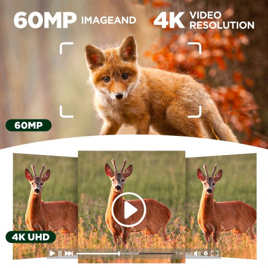 Campark TC22 4K Trail Camera WiFi Dual Lens Solar Power Integrated Game Camera with Starlight Night Vision Campark TC22 4K Trail Camera WiFi Dual Lens Solar Power Integrated Game Camera with Starlight Night Vision