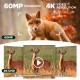 Campark TC22 4K Trail Camera WiFi Dual Lens Solar Power Integrated Game Camera with Starlight Night Vision Campark TC22 4K Trail Camera WiFi Dual Lens Solar Power Integrated Game Camera with Starlight Night Vision