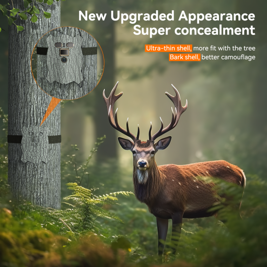 Campark TC21 4K 46MP Trail Camera 950NM Non-Glow Ultra-Thin WiFi Bluetooth Solar Power Game Camera With Covert Shell Campark TC21 4K 46MP Trail Camera 950NM Non-Glow Ultra-Thin WiFi Bluetooth Solar Power Game Camera With Covert Shell