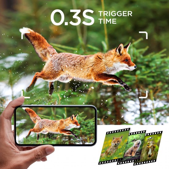 Campark TC23 Full HD 24MP 1080P Trail Camera with Night Vision Campark TC23 Full HD 24MP 1080P Trail Camera with Night Vision