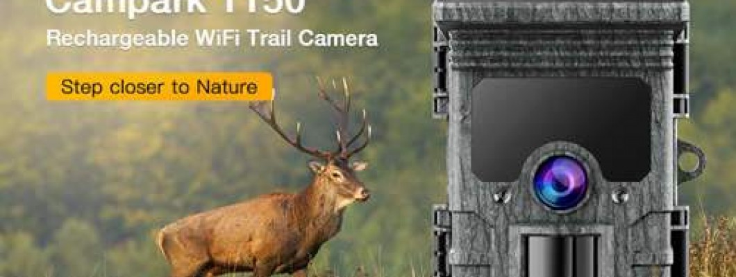 Factors That Affect Trail Camera's Longevity Factors That Affect Trail Camera's Longevity