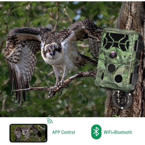 Campark T100 4K 30MP WiFi Bluetooth Trail Game Camera Campark T100 4K 30MP WiFi Bluetooth Trail Game Camera