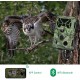 Campark T100 4K 30MP WiFi Bluetooth Trail Game Camera Campark T100 4K 30MP WiFi Bluetooth Trail Game Camera