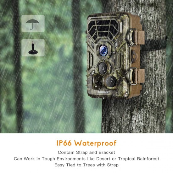 Campark Trail Game Cameras HD Wildlife IP66 Waterproof T30 Campark Trail Game Cameras HD Wildlife IP66 Waterproof T30