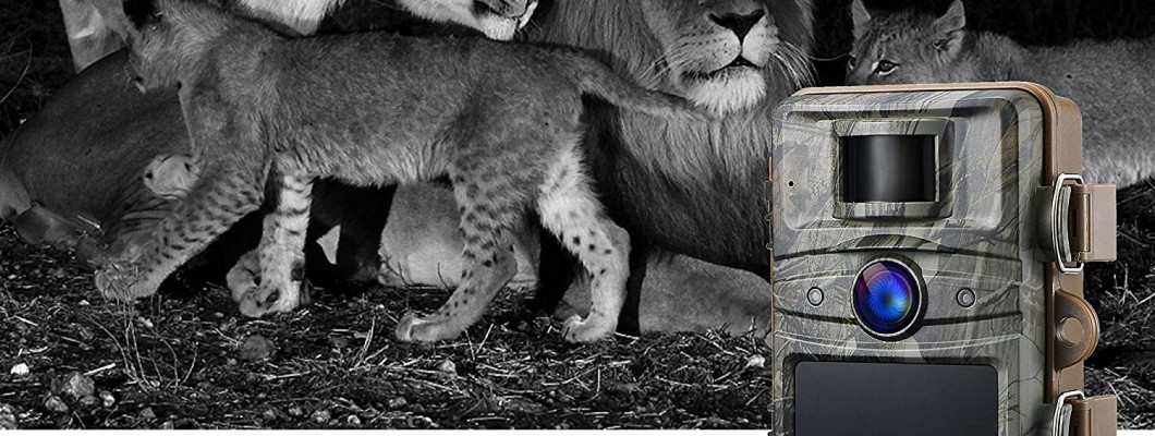 Best selling trail camera in 2019 - Campark - Focus on Cameras Best selling trail camera in 2019 - Campark - Focus on Cameras