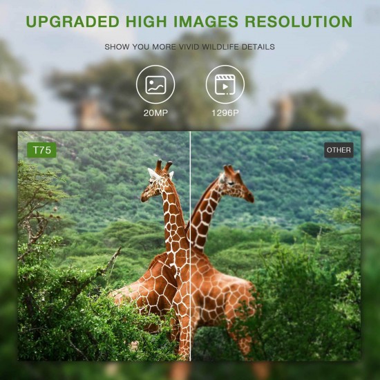 Campark T75 WiFi Trail Camera 20MP 1296P Remote Control Hunting Game Camera Campark T75 WiFi Trail Camera 20MP 1296P Remote Control Hunting Game Camera