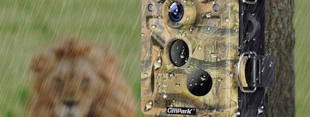 Campark T80 WiFi Trail Camera Customer Questions & Answers - Campark - Focus on Cameras Campark T80 WiFi Trail Camera Customer Questions & Answers - Campark - Focus on Cameras
