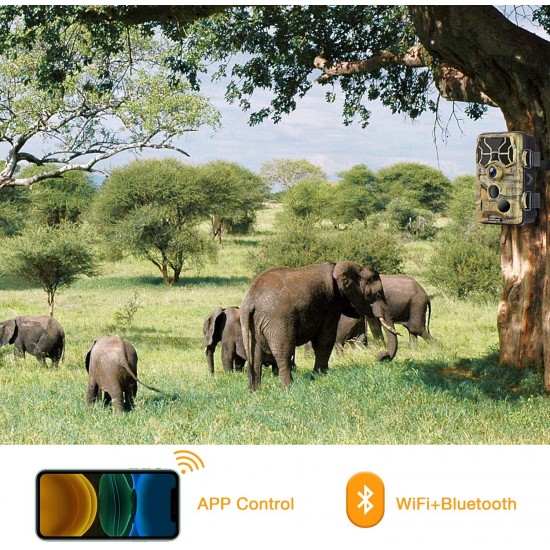 Campark T80 Trail Camera-WiFi 20MP 1296P Hunting Game Camera Campark T80 Trail Camera-WiFi 20MP 1296P Hunting Game Camera