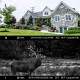 Campark T80 Trail Camera-WiFi 20MP 1296P Hunting Game Camera Campark T80 Trail Camera-WiFi 20MP 1296P Hunting Game Camera