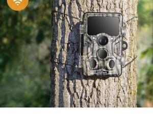 Best Trail Camera of 2019 – Game Camera Reviews and Buyer's Guide - Campark - Focus on Cameras