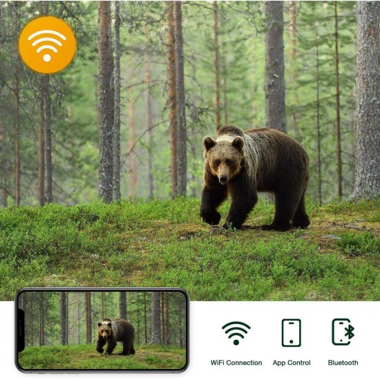 Campark T90 WiFi Trail Camera 4K Lite 24MP Bluetooth Game Camera with Night Vision Motion Activated Hunting Camera Campark T90 WiFi Trail Camera 4K Lite 24MP Bluetooth Game Camera with Night Vision Motion Activated Hunting Camera