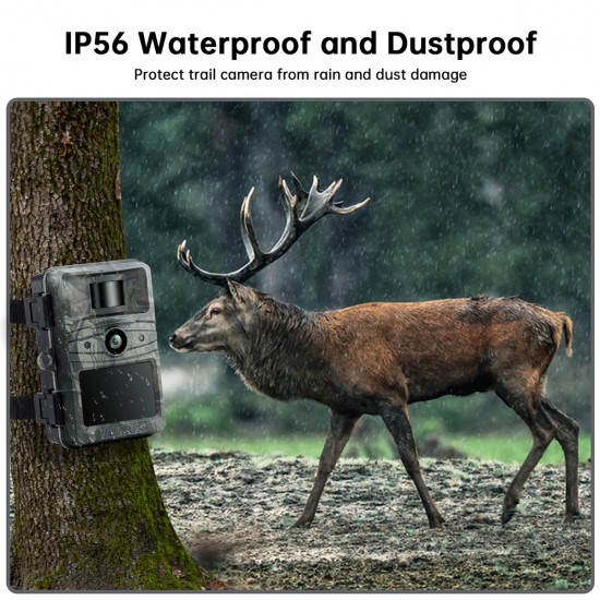 Campark TC03 4K 32MP Low Glow Flash Trail Camera Campark TC03 4K 32MP Low Glow Flash Trail Camera
