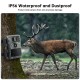 Campark TC03 4K 32MP Low Glow Flash Trail Camera Campark TC03 4K 32MP Low Glow Flash Trail Camera