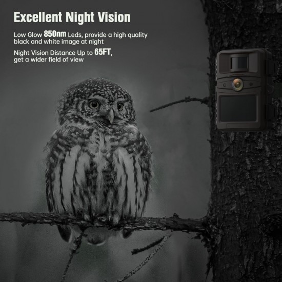 Campark TC04 4K 32MP Low Glow Wifi Trail Camera Campark TC04 4K 32MP Low Glow Wifi Trail Camera