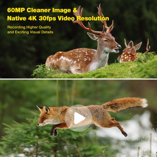 Campark TC06 4k 60MP Wifi Dual Lens Trail Camera With Color Night Vision Campark TC06 4k 60MP Wifi Dual Lens Trail Camera With Color Night Vision