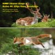 Campark TC06 4k 60MP Wifi Dual Lens Trail Camera With Color Night Vision Campark TC06 4k 60MP Wifi Dual Lens Trail Camera With Color Night Vision