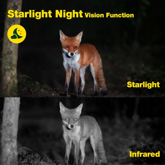 Campark TC06 4k 60MP Wifi Dual Lens Trail Camera With Color Night Vision Campark TC06 4k 60MP Wifi Dual Lens Trail Camera With Color Night Vision