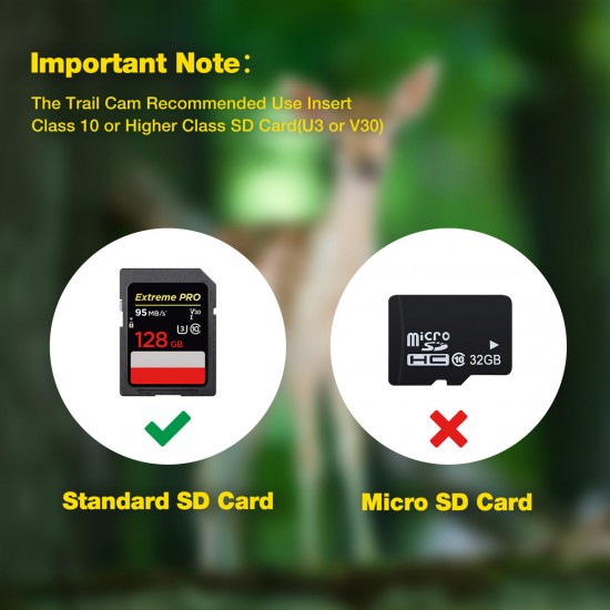 Campark TC06 4k 60MP Wifi Dual Lens Trail Camera With Color Night Vision Campark TC06 4k 60MP Wifi Dual Lens Trail Camera With Color Night Vision