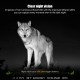 Campark TC15 24MP 1080P Solar Power 0.1S Trigger Time Trail Camera for Outdoor Wildlife Campark TC15 24MP 1080P Solar Power 0.1S Trigger Time Trail Camera for Outdoor Wildlife