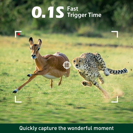 Campark TC24 4K 40MP Trail Camera with 2.0'' LCD and Time Lapse for Wildlife Monitor Campark TC24 4K 40MP Trail Camera with 2.0'' LCD and Time Lapse for Wildlife Monitor