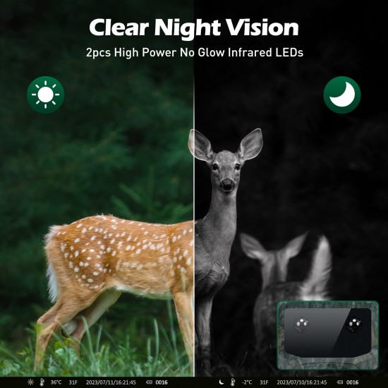 Campark TC24 4K 40MP Trail Camera with 2.0'' LCD and Time Lapse for Wildlife Monitor Campark TC24 4K 40MP Trail Camera with 2.0'' LCD and Time Lapse for Wildlife Monitor