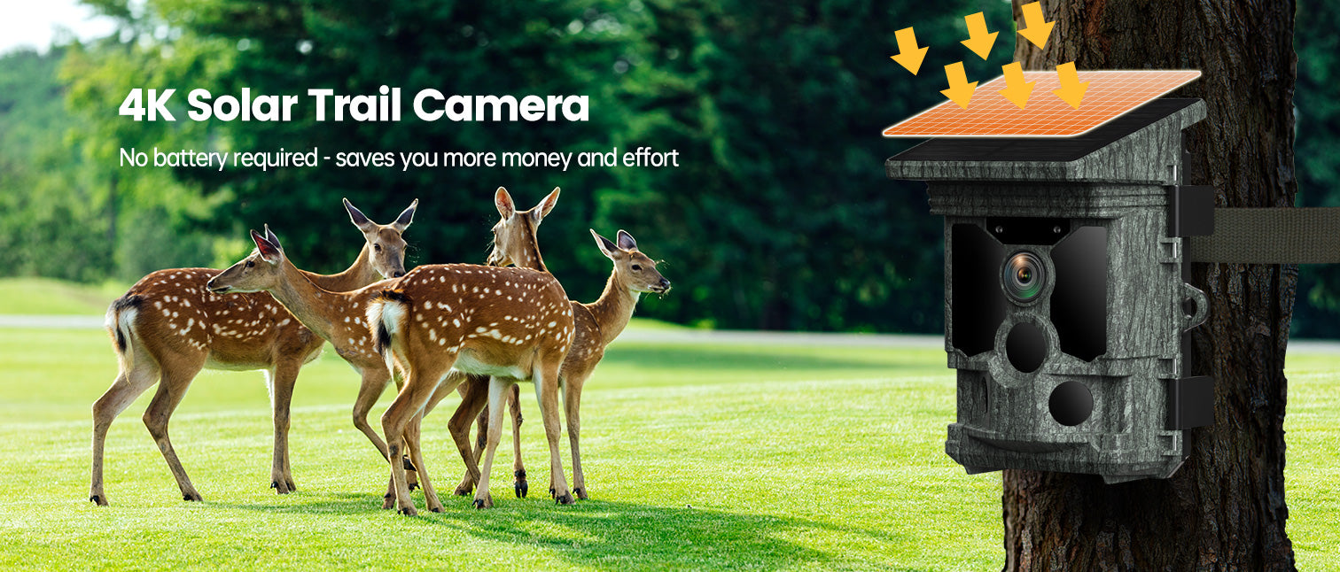 Campark T180 Trail Camera 4K 36MP Solar Panel WiFi Bluetooth Trail Game Camera