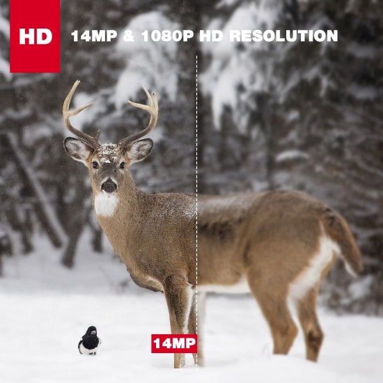 Toguard H45 Trail 14MP 1080P Wildlife Hunting Game Camera Toguard H45 Trail 14MP 1080P Wildlife Hunting Game Camera