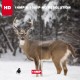 Toguard H45 Trail 14MP 1080P Wildlife Hunting Game Camera Toguard H45 Trail 14MP 1080P Wildlife Hunting Game Camera