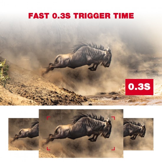Toguard H45 Trail 14MP 1080P Wildlife Hunting Game Camera Toguard H45 Trail 14MP 1080P Wildlife Hunting Game Camera