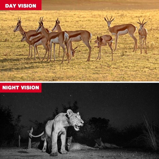 Toguard H45 Trail 14MP 1080P Wildlife Hunting Game Camera Toguard H45 Trail 14MP 1080P Wildlife Hunting Game Camera