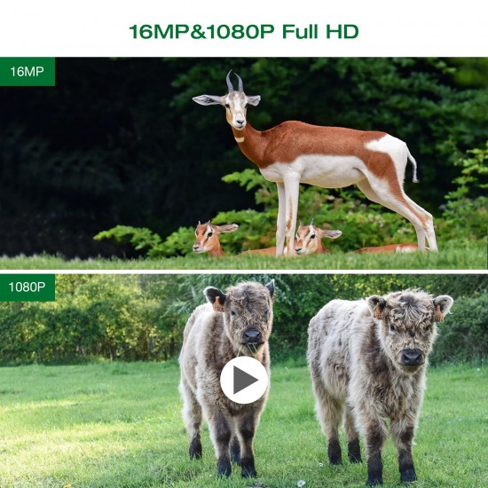 Toguard H20 16MP 1080P Mini Trail Camera for Wildlife Monitoring and Home Observation Toguard H20 16MP 1080P Mini Trail Camera for Wildlife Monitoring and Home Observation