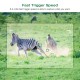 Toguard H20 16MP 1080P Mini Trail Camera for Wildlife Monitoring and Home Observation Toguard H20 16MP 1080P Mini Trail Camera for Wildlife Monitoring and Home Observation