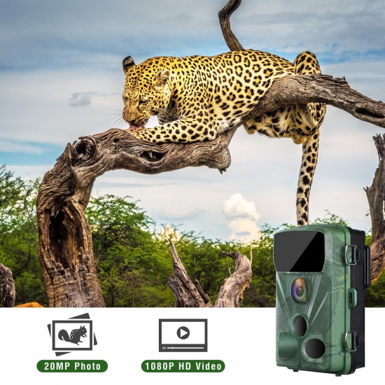 Toguard H70 20MP 1080P Trail Camera for Hunting and Wildlife Monitoring Toguard H70 20MP 1080P Trail Camera for Hunting and Wildlife Monitoring
