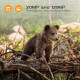 Toguard H85 Trail Camera WiFi Bluetooth 20MP 1296P Hunting Game Camera Toguard H85 Trail Camera WiFi Bluetooth 20MP 1296P Hunting Game Camera