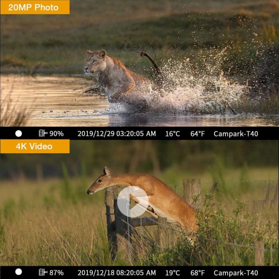 Campark T40A Trail Game Camera 12MP 1080P Waterproof Camera Campark T40A Trail Game Camera 12MP 1080P Waterproof Camera