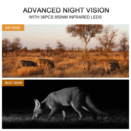 Campark T150 4K 30MP Solar Powered WiFi Bluetooth Trail Camera Campark T150 4K 30MP Solar Powered WiFi Bluetooth Trail Camera